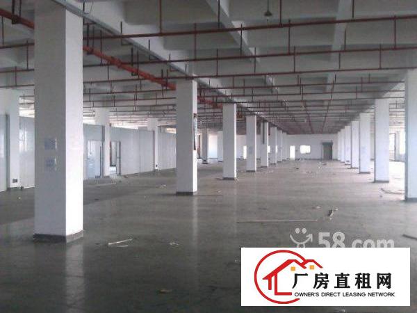
平湖华南城附近新楼上精品厂房出租550平方起