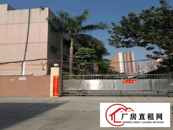 
平湖华南城附近新一楼，楼上小面积厂房180平方起租