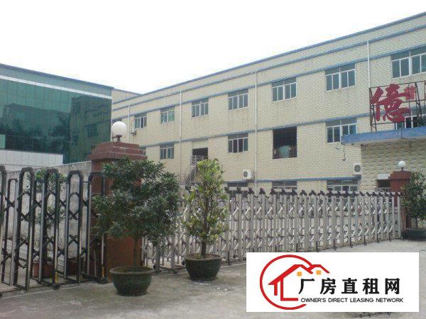 
平湖华南城附近新一楼，楼上小面积厂房180平方起租