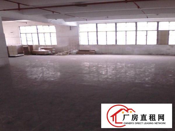 
平湖白泥坑路口400,600平方一楼厂房，仓库出租