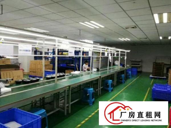
平湖富民工业区附近即将空出楼上精装修700平米招租