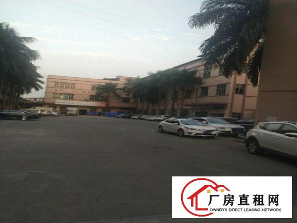 
平湖大皇宫附近原房东红本一楼标准厂房急租
