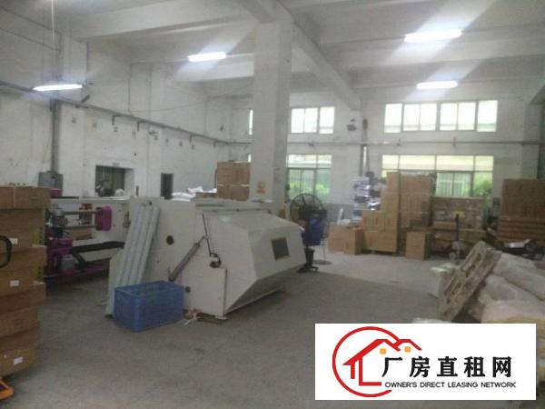 
平湖华南城旁边原房东一楼厂房出租，高6米
