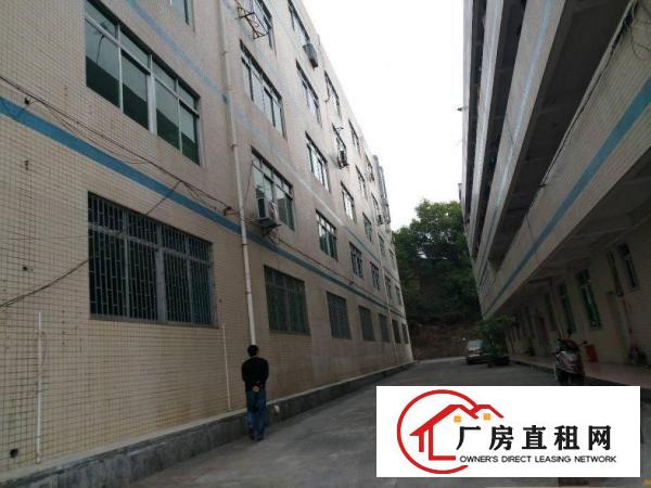 
龙岗平湖清平高速附近原房东一二楼厂房出租