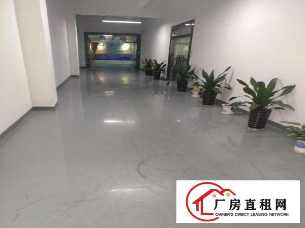 
龙岗平湖清平高速附近原房东一二楼厂房出租