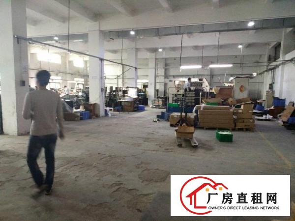 
平湖大皇宫附近标准厂房一楼高6米520平方急租