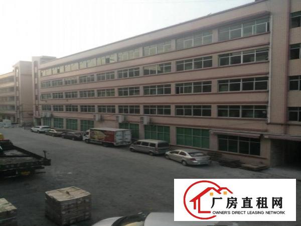 
平湖华南城边上禾花社区新出650平方带装修厂房出租