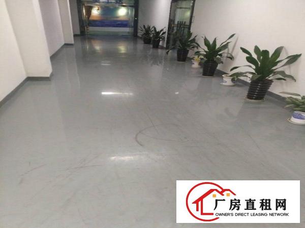 
龙岗平湖华南城附近无公摊980平带装修厂房出租