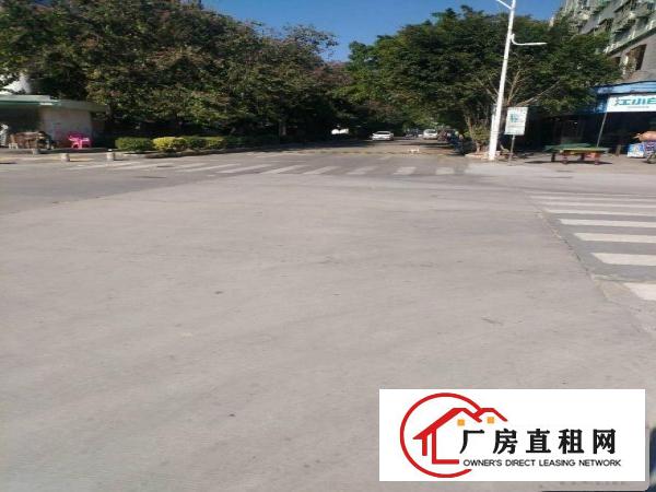 
龙岗平湖华南城附近无公摊980平带装修厂房出租