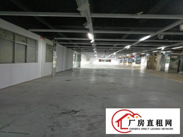 
深圳龙岗平湖白泥坑海吉星附近厂房招租面积5000可