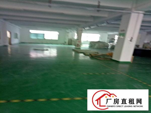 
深圳龙岗平湖白泥坑海吉星附近厂房招租面积5000可