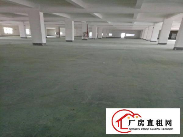 
深圳龙岗平湖白泥坑海吉星附近厂房招租面积5000可