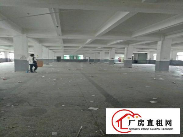 
深圳龙岗平湖白泥坑海吉星附近厂房招租面积5000可