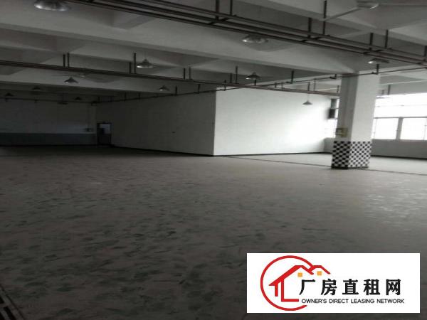 
平湖平湖范围楼顶小面积厂房出租，适合油边，皮草行业