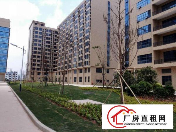 
中科院凤岗科技园全新厂房出租2000至50000平