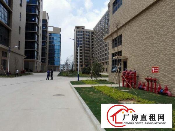 
中科院凤岗科技园全新厂房出租2000至50000平