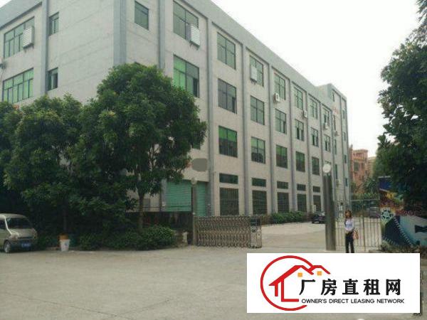 
平湖新木村委楼上标准厂房1000平形象好火热招租