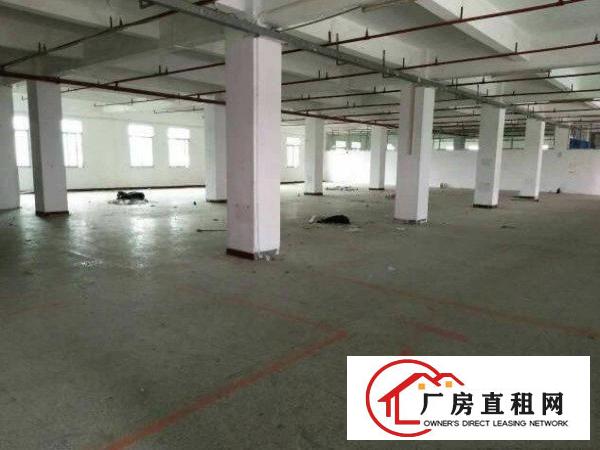 
平湖上木古工业楼上800平方标准厂房形象好招租
