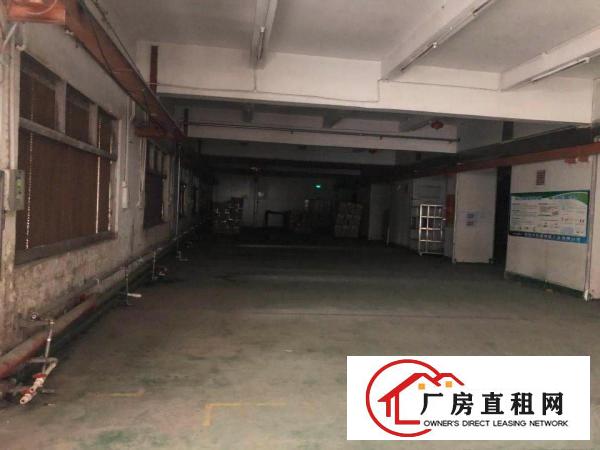 
出租龙岗区平湖辅城坳一楼厂房出租