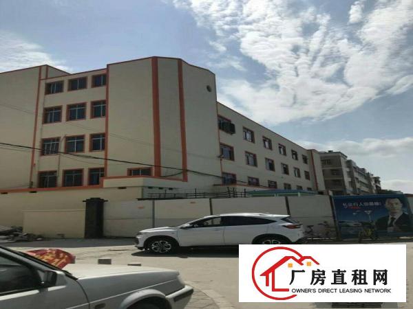 
平湖平龙工业园1180平方厂房招租，靠主路，好招工