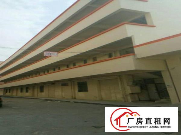 
平湖平龙工业园1180平方厂房招租，靠主路，好招工