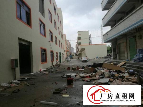 
平湖平龙工业园1180平方厂房招租，靠主路，好招工