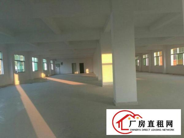 
平湖平龙工业园1180平方厂房招租，靠主路，好招工