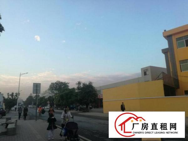 
平湖独院厂房招租3300平靠主路好招工周边配套齐全