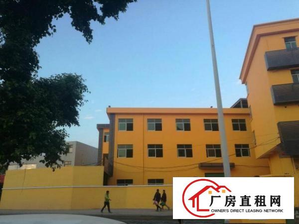 
平湖独院厂房招租3300平靠主路好招工周边配套齐全
