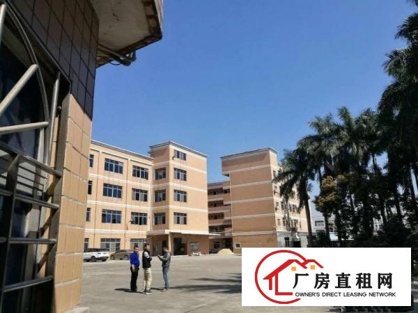 
平湖鹅公岭新出1楼700平方厂房急租