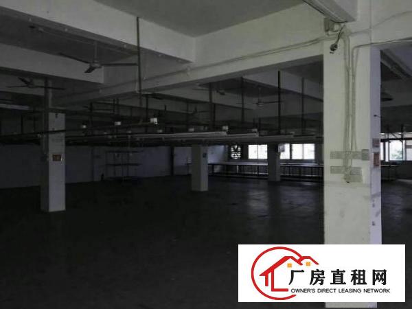 
平湖上木古新出3楼1200平方厂房急租