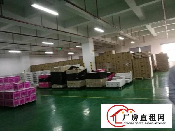
平湖新木新出3楼3600平方厂房出租