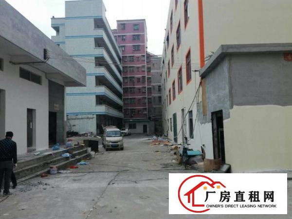 
平湖富民工业区二楼1200平方靠主路好招工，带装修