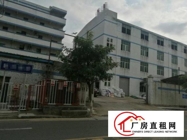 
平湖宝莱工业区二三楼1280平方厂房招租，好招工