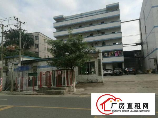 
平湖宝莱工业区二三楼1280平方厂房招租，好招工