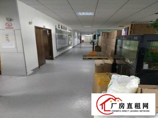 
平湖凤凰大道凤门工业园独门独院4800平方厂房出租