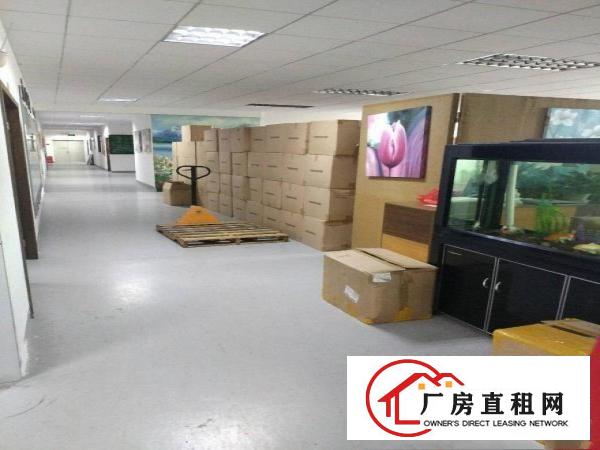 
平湖凤凰大道凤门工业园独门独院4800平方厂房出租