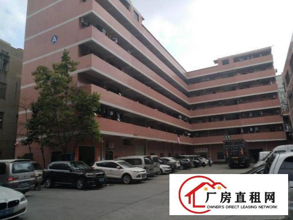 
平湖辅城坳顺平路口楼上带装修2500平方