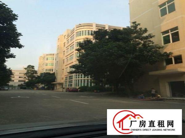 
平湖工业区30000平方厂房仓库招租