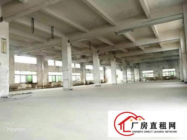 
平湖辅城坳新出独院12000平方厂房急租