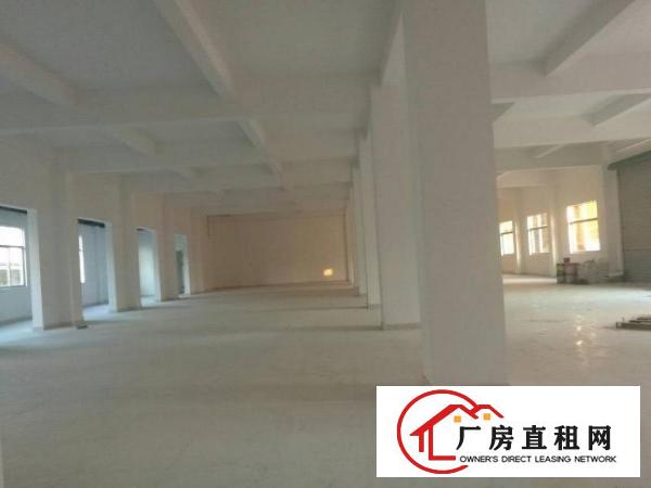 
深圳平湖工业园一楼实际面积1400平方，0公摊