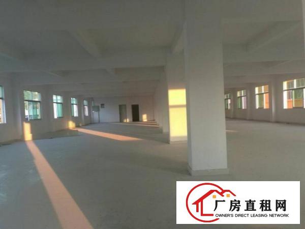 
深圳平湖工业园一楼实际面积1400平方，0公摊