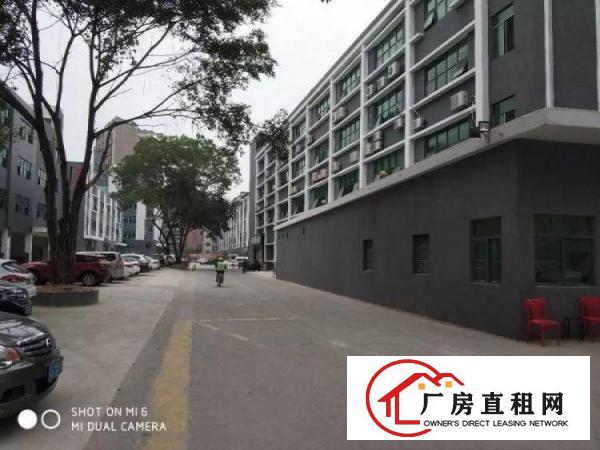 
平湖新出大量厂房仓库出租