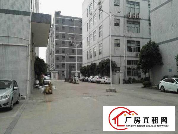 
平湖新出大量厂房仓库出租