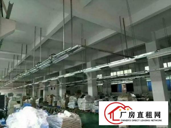 
平湖白泥坑新出1楼仓库1500平方出租