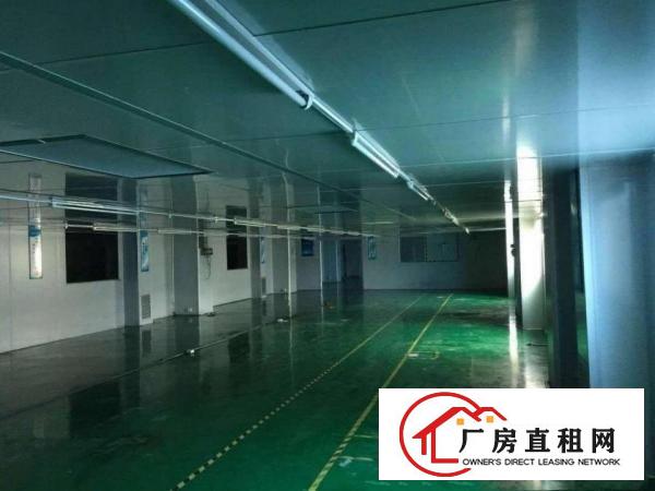 
平湖大皇公新出3楼3000平方厂房急租