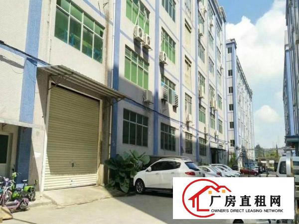 
平湖华南城新出2楼500平方厂房出租