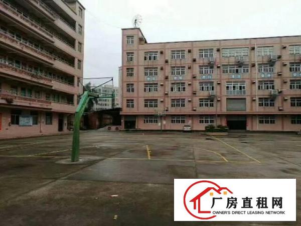 
平湖大皇公新出3楼3000平方厂房急租