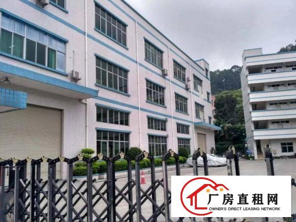 
平湖富民工业区原业1400平方带装修急租