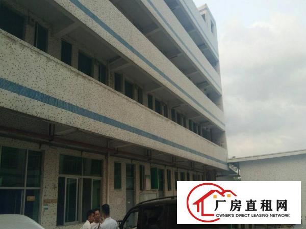 
平湖富民工业区新出带装修1000平方标准厂房分租